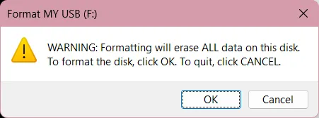 A screenshot of the confirm format dialog, with the "OK" button highlighted